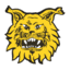 Ilves 2